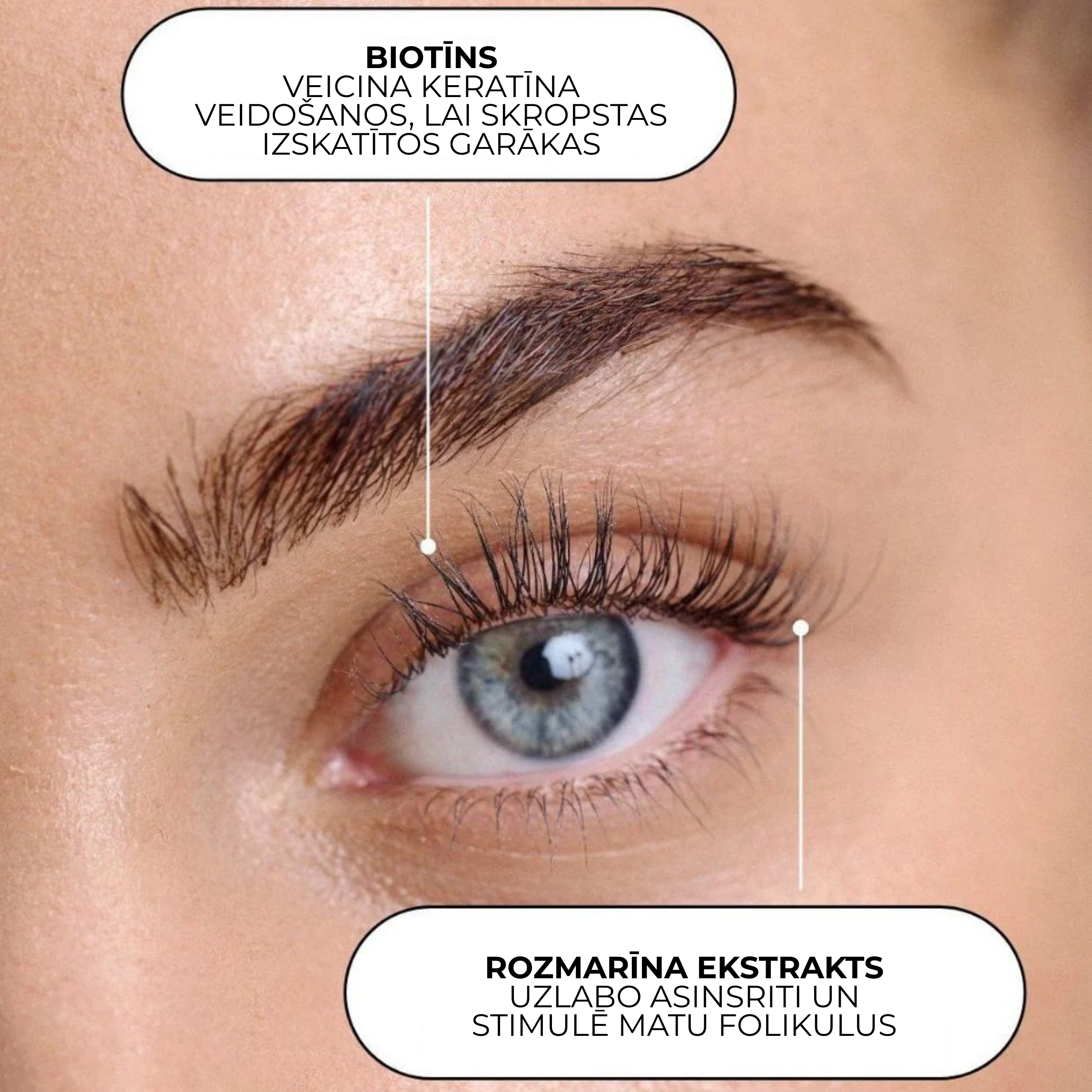 Xlash Eyelash Serum, 5ml