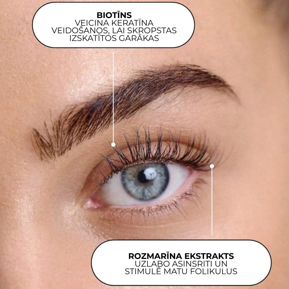 XLASH Evening routine kit