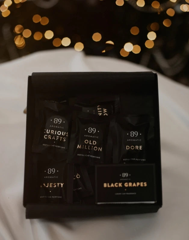 AROMATIC 89 Автомобильный ароматизатор с креплением (Зимняя коллекция)