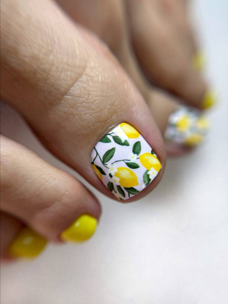 Pedicure cabinet пленка для педикюра [WR-484]